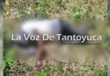Localizan sin vida a un hombre en Tecomate | LVDT