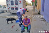 Ebrio cae y se descalabra | LVDT
