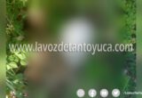 Localizan cráneo humano en Madero