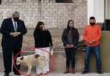 VIDEO: Perro orina a presidenta municipal; el momento se vuelve viral