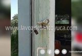 Roban en la escuela Secundaria Tecnica 64