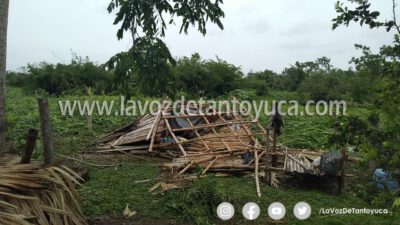 Piden un seguro agrario en caso de siniestros