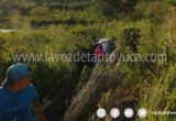 Vuelca camioneta en la Alazán - Canoas