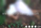 Encuentran muerta en camino rural a mujer de la tercera edad