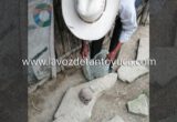 Localizan un cráneo envuelto en camisa frente a una casa