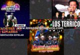 Alcaldía de Orizatlán contrata artistas “piratas” para su feria
