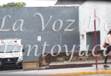 Directora de la Policía de Xochiatipan se accidenta