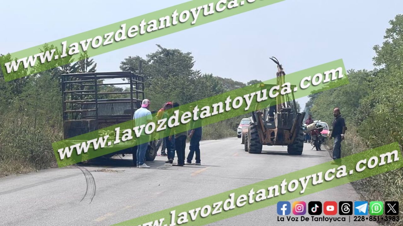 Pierde el control de su camioneta y termina en el monte - Diario La Voz ...