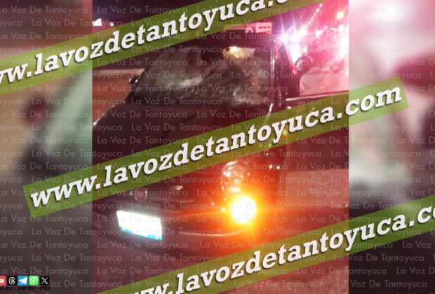 Veloz automóvil embistió a una vaca en el Bulevar Primex de Altamira