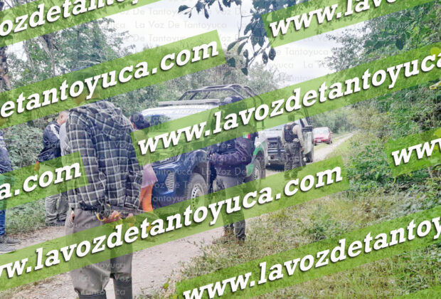 Localizan res destazada en Chalma