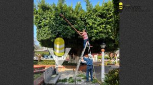 Unidos por un Chontla Más Limpio y Seguro