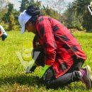 Ampliar la imagen al hacer clic