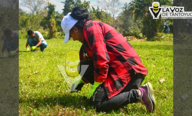 Ampliar la imagen al hacer clic