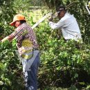 Realizan jornada de limpieza y rehabilitación en la localidad de La Meza, Citlaltépetl