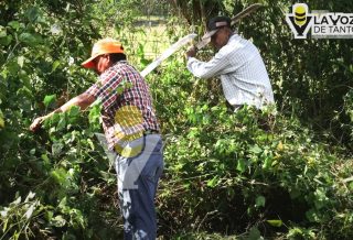Realizan jornada de limpieza y rehabilitación en la localidad de La Meza, Citlaltépetl