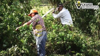 Realizan jornada de limpieza y rehabilitación en la localidad de La Meza, Citlaltépetl