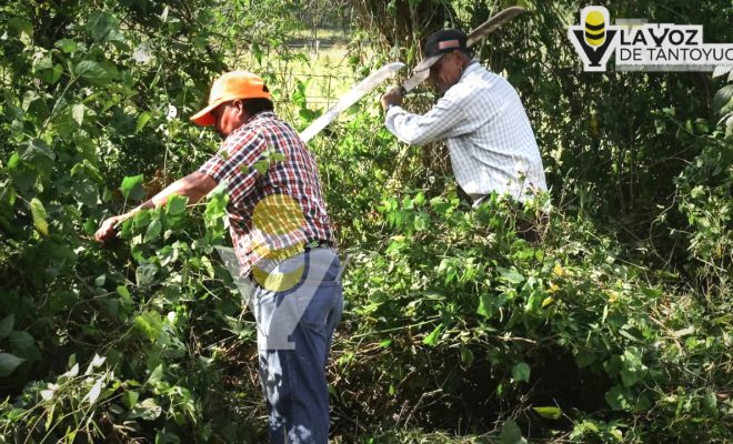 Realizan jornada de limpieza y rehabilitación en la localidad de La Meza, Citlaltépetl