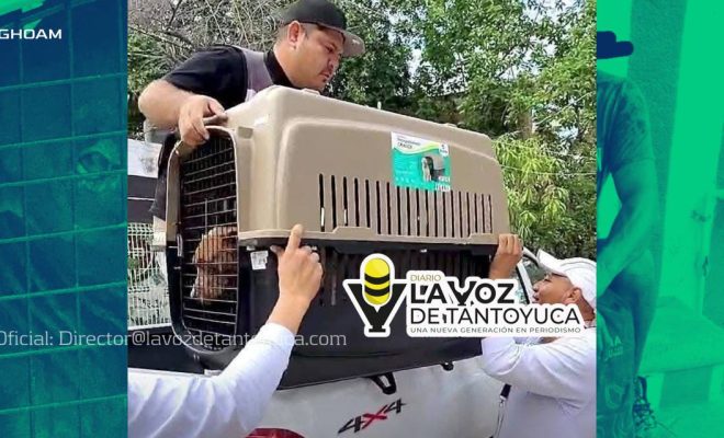 4925115406251395890 4925115406251395890