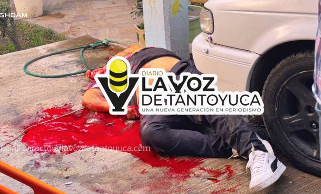 4929748782610582410 4929748782610582410