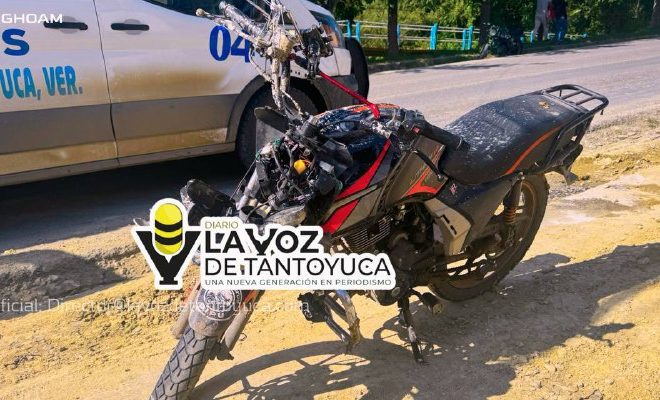 4945355143281052599 4945355143281052599