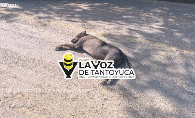 4945355143281052601 4945355143281052601