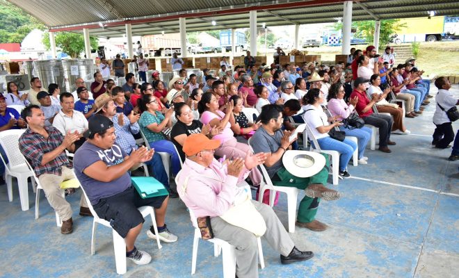 Clic en la imagen para ampliarla. Tantoyuca fortalece la producción de miel con apoyos para apicultores y meliponicultores