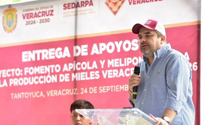 Clic en la imagen para ampliarla. Tantoyuca fortalece la producción de miel con apoyos para apicultores y meliponicultores