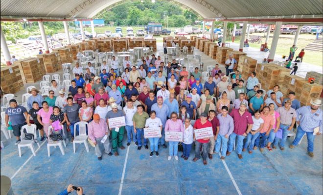 Clic en la imagen para ampliarla. Tantoyuca fortalece la producción de miel con apoyos para apicultores y meliponicultores