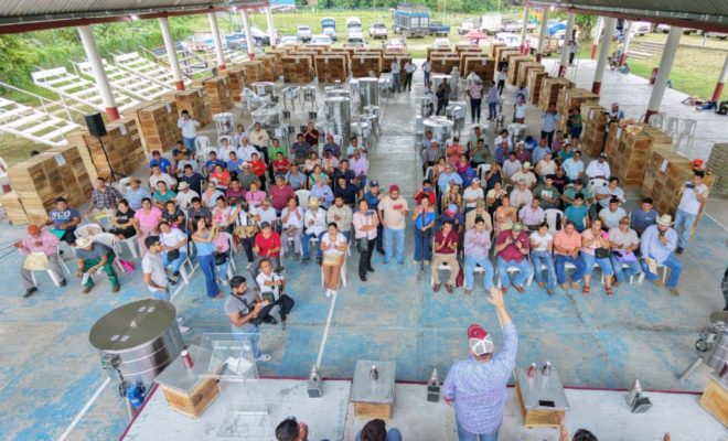 Clic en la imagen para ampliarla. Tantoyuca fortalece la producción de miel con apoyos para apicultores y meliponicultores