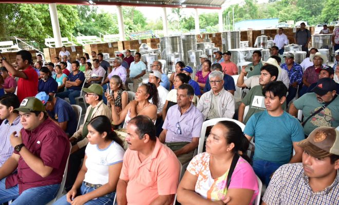 Clic en la imagen para ampliarla. Tantoyuca fortalece la producción de miel con apoyos para apicultores y meliponicultores