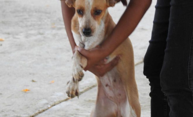 Clic en la imagen para ampliarla. Gobierno Municipal de Tantoyuca acerca servicios de distintas áreas a la comunidad de Trapiche, Chote
