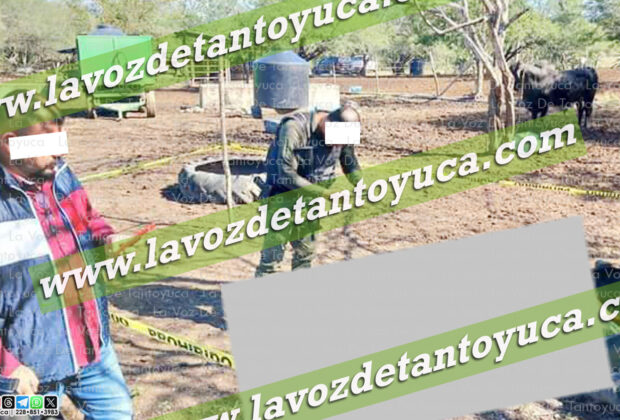 Toro mata a vaquero en Tampico Alto