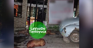 Abandonan restos humanos con mensaje de advertencia en Tantoyuca