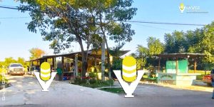 Un hombre resulta herido en ataque armado en Platón Sánchez