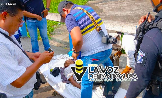 Enjambre de abejas matan a un hombre en Tantoyuca