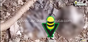 Movilización policiaca por supuesto cráneo resulta ser falsa alarma en Tantoyuca