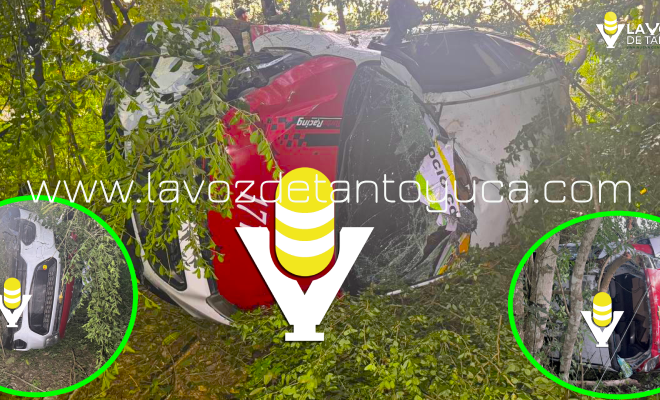 Proyecto nuevo (2) (5)