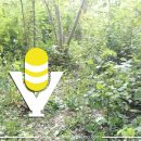 Menor acaba con su vida de un balazo en la cabeza