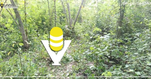 Menor acaba con su vida de un balazo en la cabeza