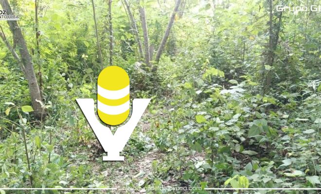 Menor acaba con su vida de un balazo en la cabeza