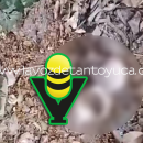 Movilización policiaca por supuesto cráneo resulta ser falsa alarma en Tantoyuca