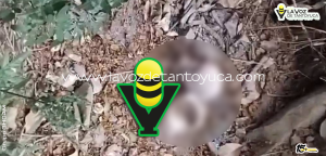 Movilización policiaca por supuesto cráneo resulta ser falsa alarma en Tantoyuca