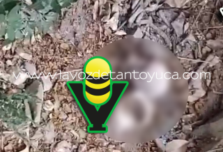 Movilización policiaca por supuesto cráneo resulta ser falsa alarma en Tantoyuca