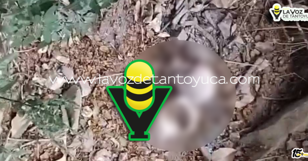 Movilización policiaca por supuesto cráneo resulta ser falsa alarma en Tantoyuca