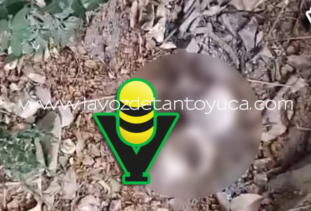 Movilización policiaca por supuesto cráneo resulta ser falsa alarma en Tantoyuca