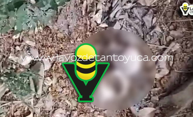 Movilización policiaca por supuesto cráneo resulta ser falsa alarma en Tantoyuca