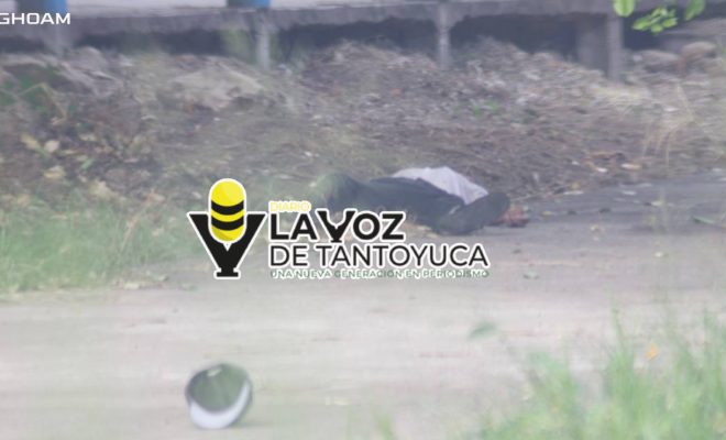 Enjambre de abejas matan a un hombre en Tantoyuca