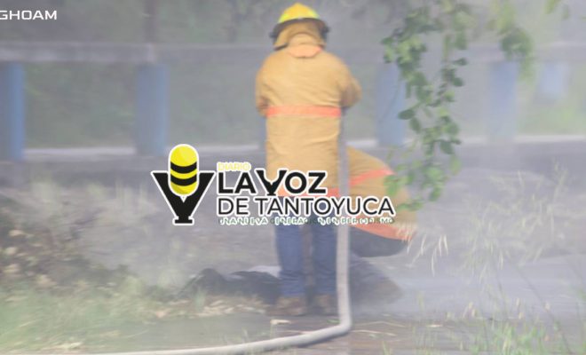 Enjambre de abejas matan a un hombre en Tantoyuca