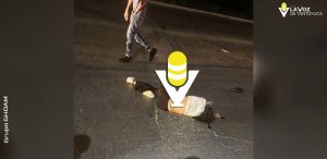 Motociclista perdió la vida al estrellarse contra un poste por el sector de Tancol