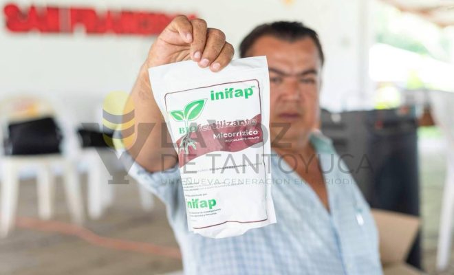 Ampliar la imagen al hacer clic Gobierno Municipal de Chontla y productores suman esfuerzos para mejorar la producción agrícola